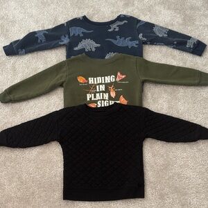 Three 2T Kid’s Sweatshirts- Navy Blue Dinosaur, Olive Green Bugs, Black Quilted